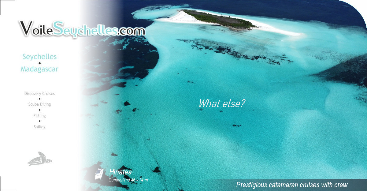 Luxury cruise to the Seychelles catamaran with crew