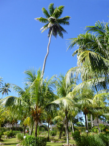 La Digue island, the Seychelles