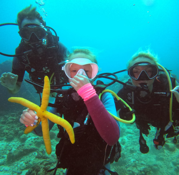 Diving Cruises in Seychelles and Madagascar