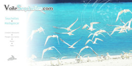 Ile de Bird aux Seychelles