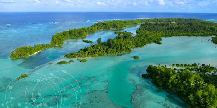 Île Poivre aux Seychelles, lagon aux eaux turquoise