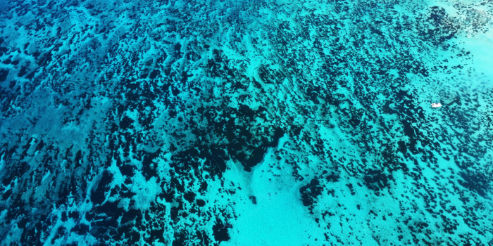 Vue aérienne des fonds marins et des eaux turquoise des Seychelles, révélant les nuances du lagon.