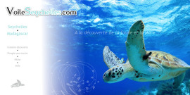 Tortue de mer aux Seychelles